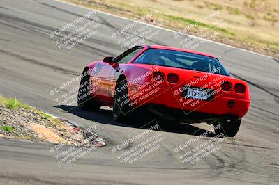 media/Mar-23-2025-West Coast Racing (Sun) [[de161b708f]]/Blue Group/Session 3 (Turns 3 and 5)/